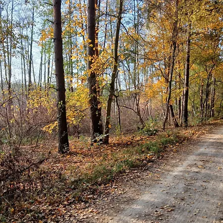 アパート Zacisze Strzeszyn