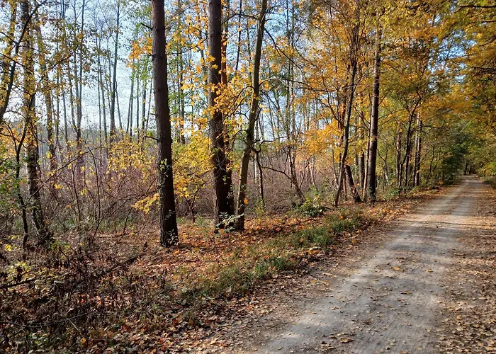Διαμέρισμα Zacisze Strzeszyn